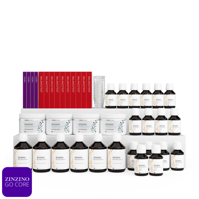 ZINZINO ULTIMATE KIT